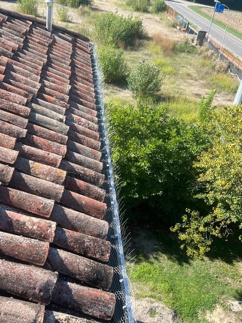 Aerial view of red clay roof tiles with metal guttering along the edge of a building, overlooking overgrown yard with vegetation and fencing